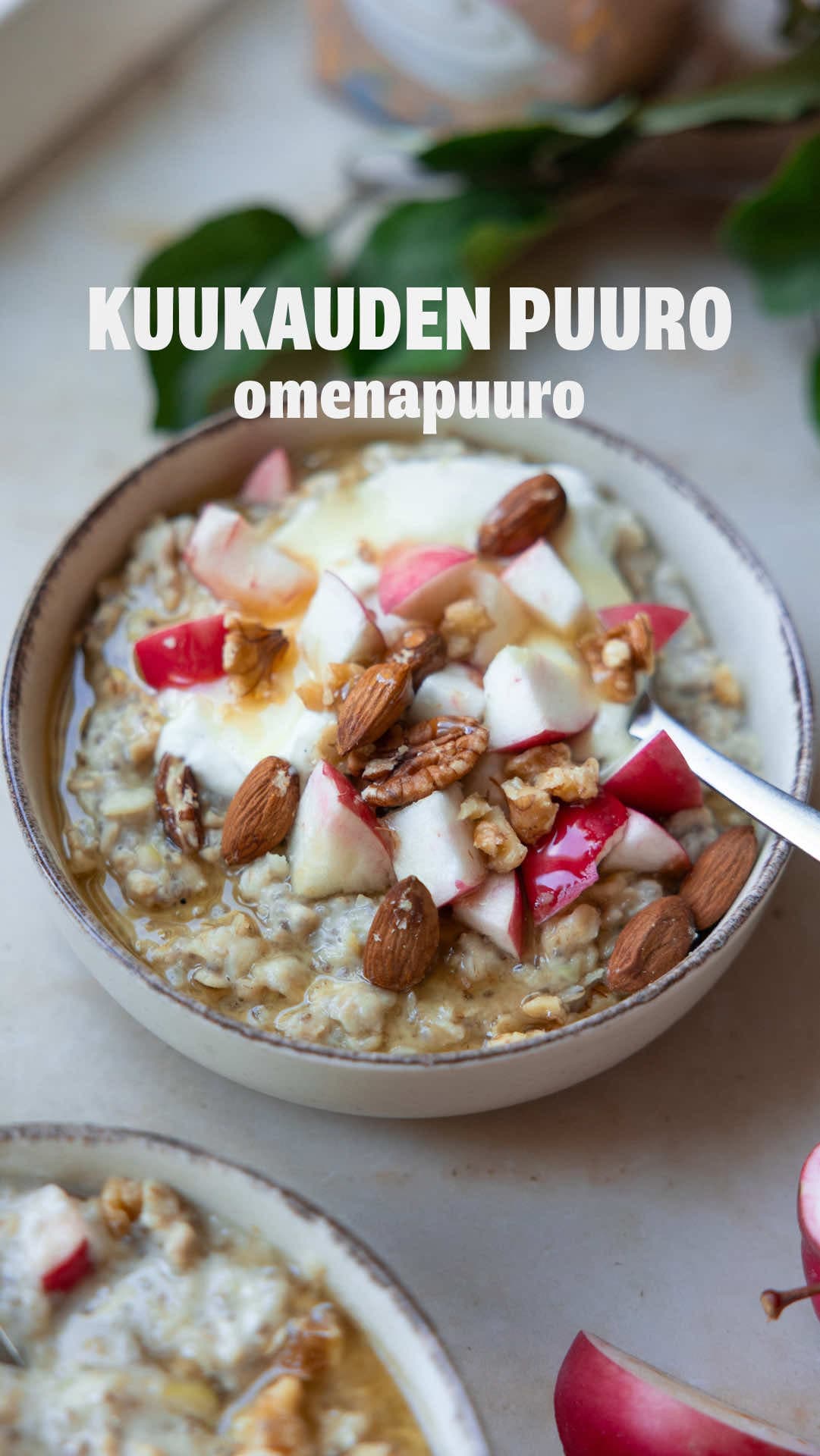 Apple Oat Porridge