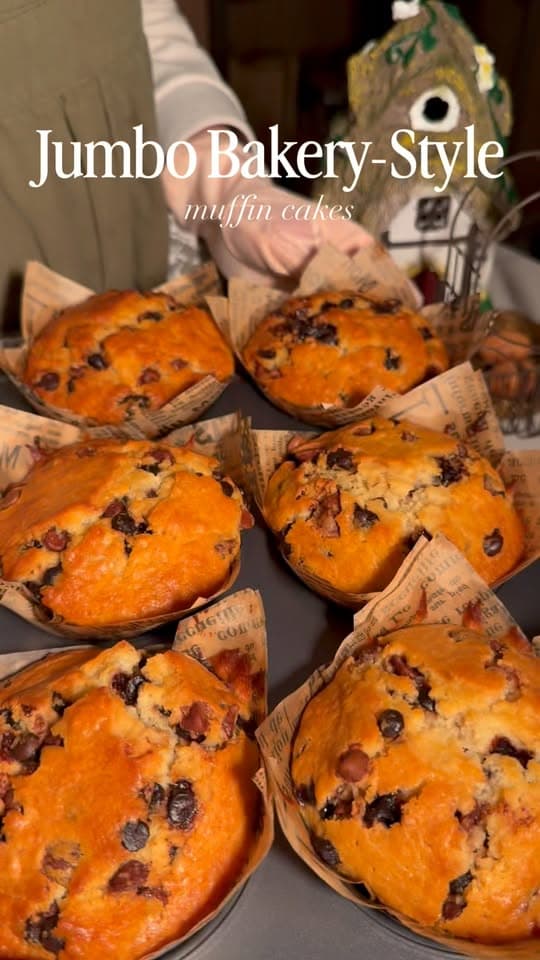 Chocolate Chip Muffins