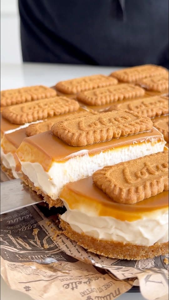 Cheesecake Lotus sans cuisson