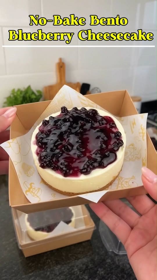 No-Bake Bento Blueberry Cheesecake