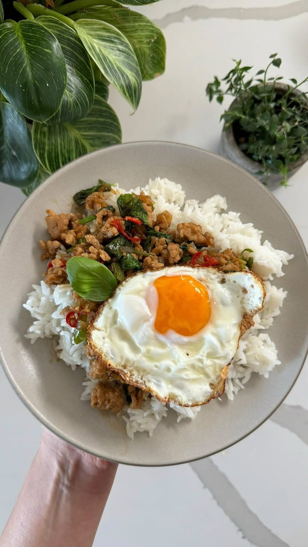 Thai Basil Chicken