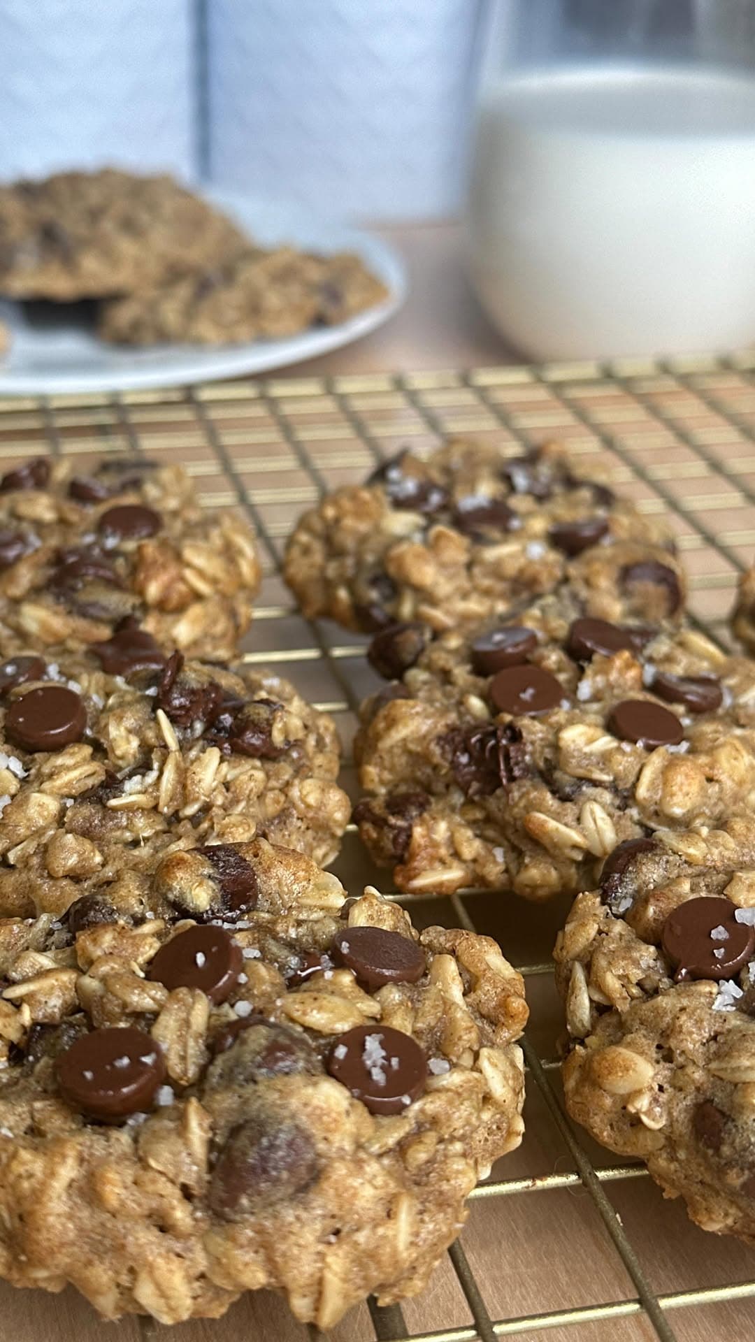 Healthy Oatmeal Chocolate Chip Cookies