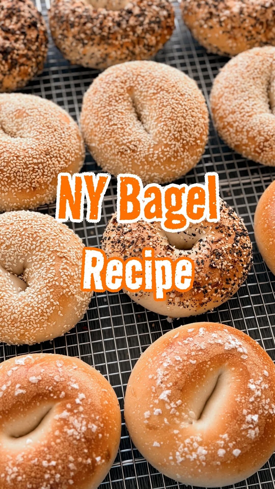 Bagels New York Classiques