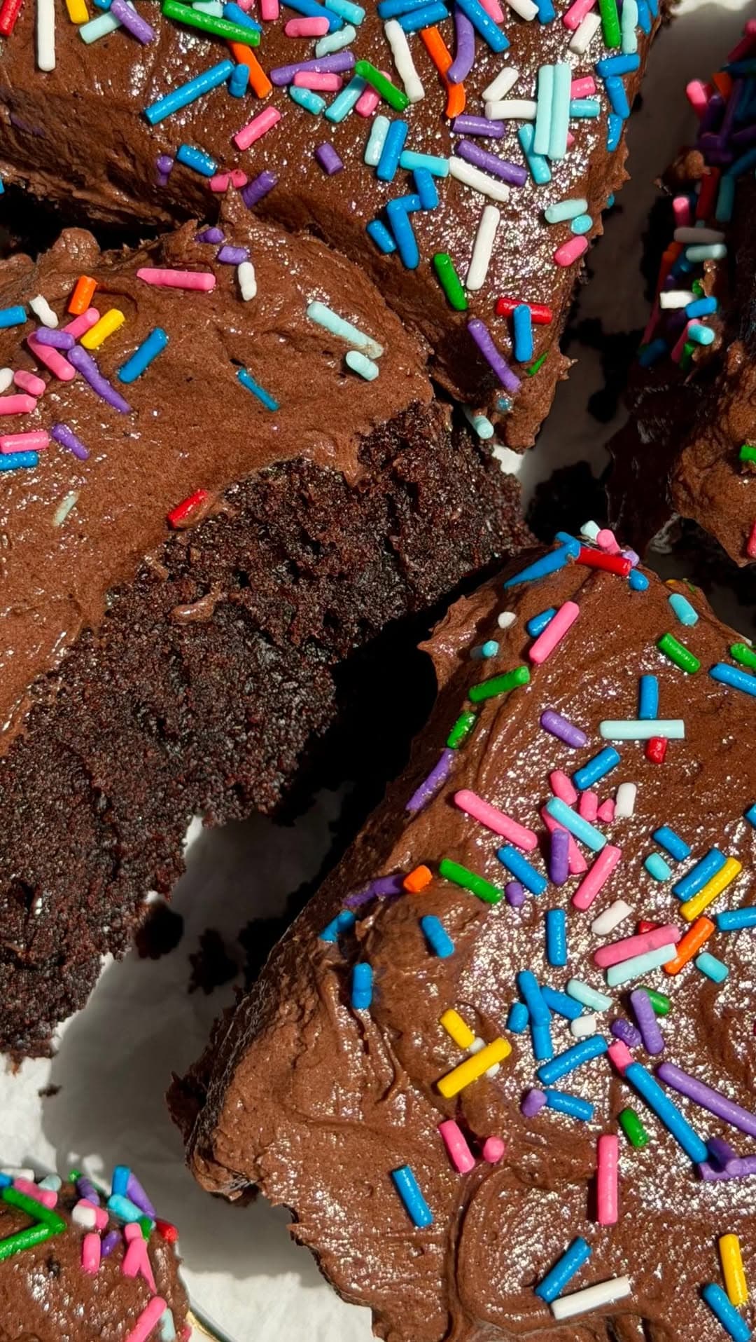 Chocolate Snack Cake
