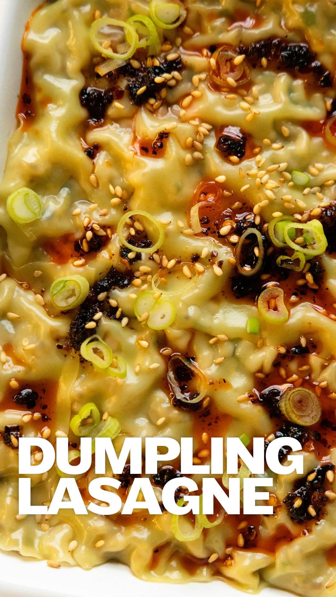 Dumpling Lasagna
