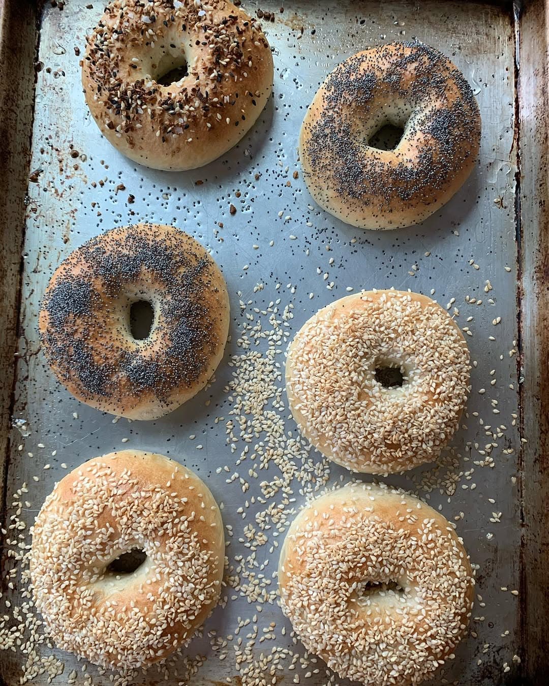 Bagels