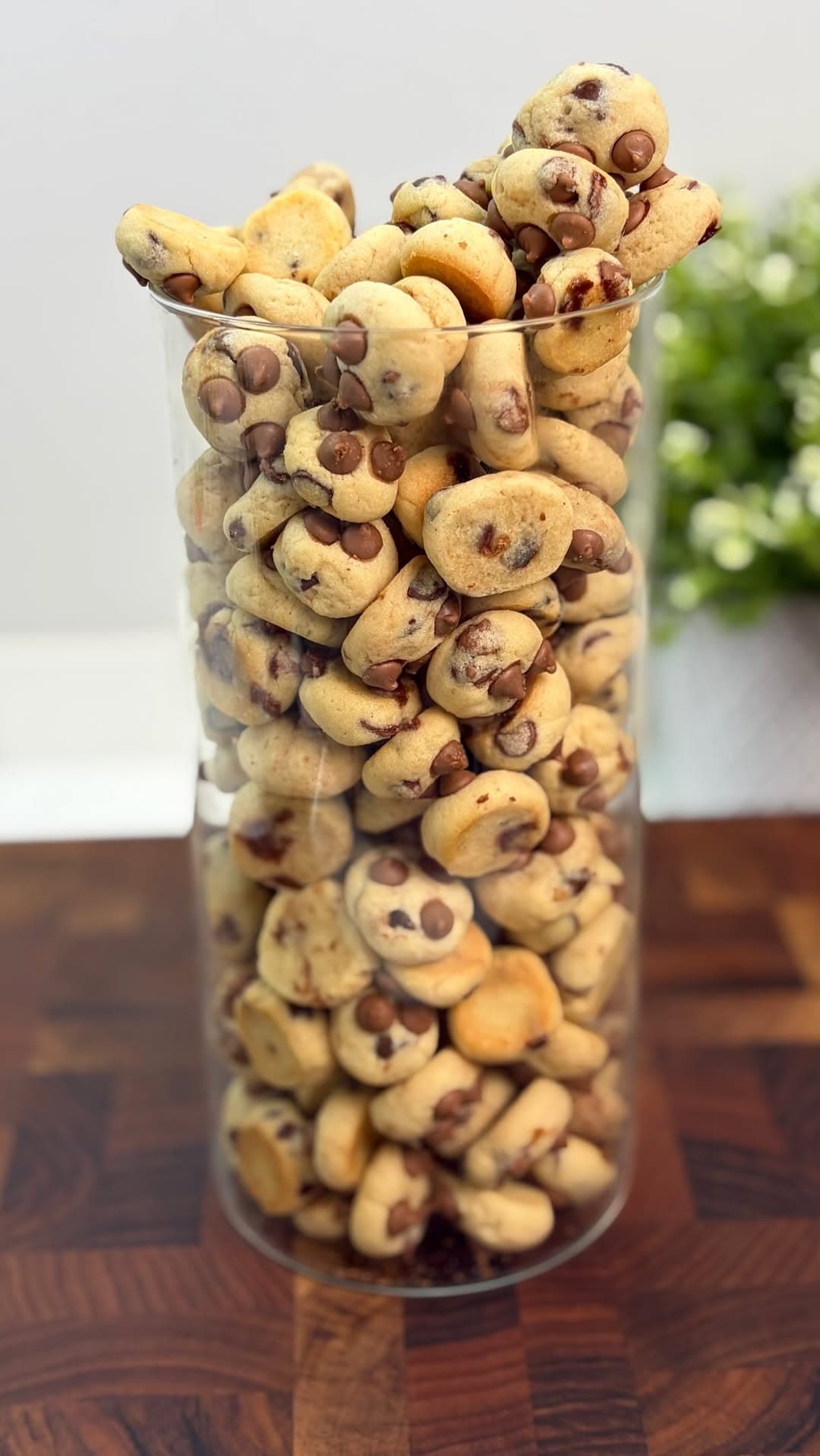 Mini Chocolate Chip Cookies