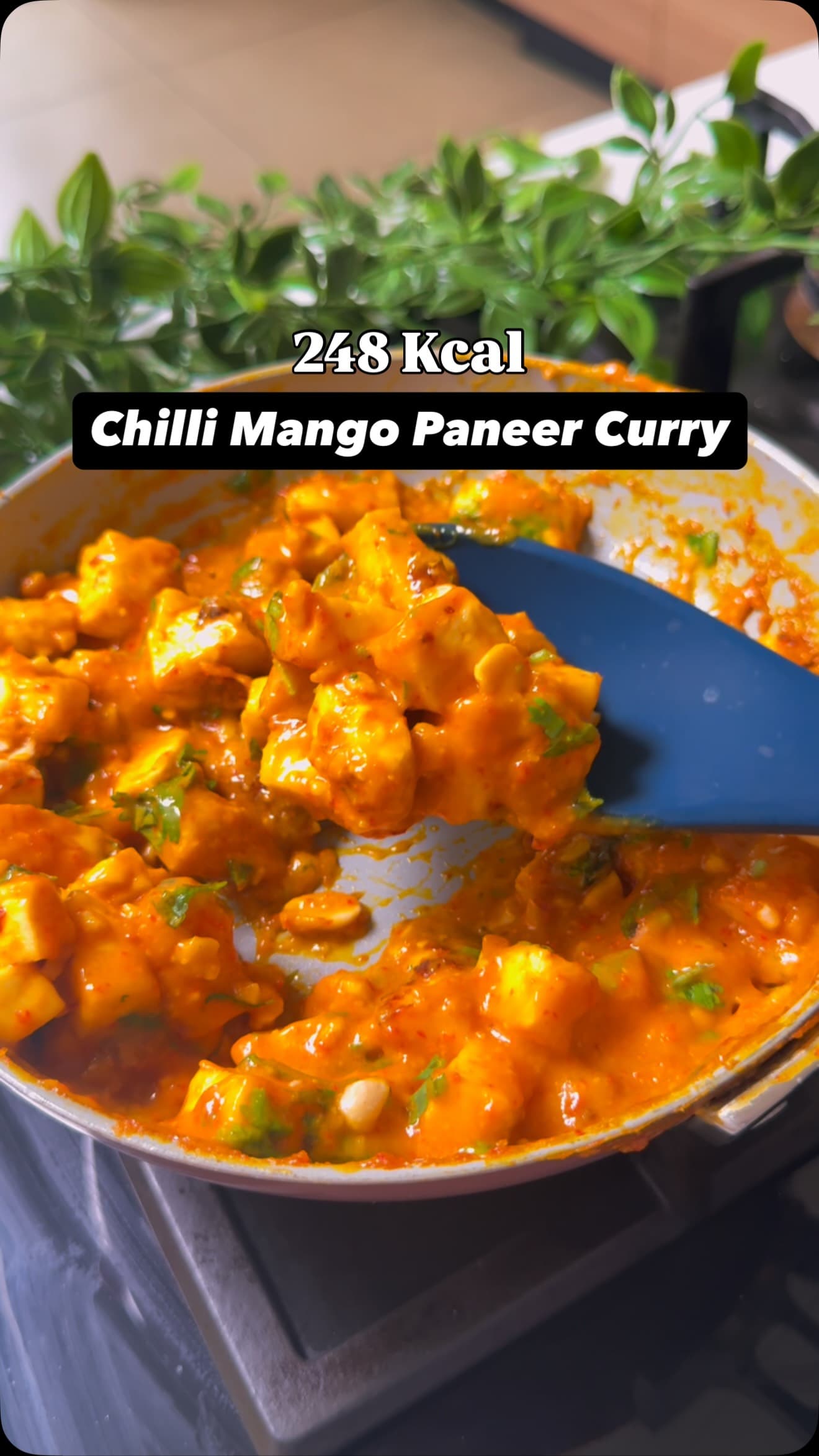 Creamy Mango Chilli Paneer