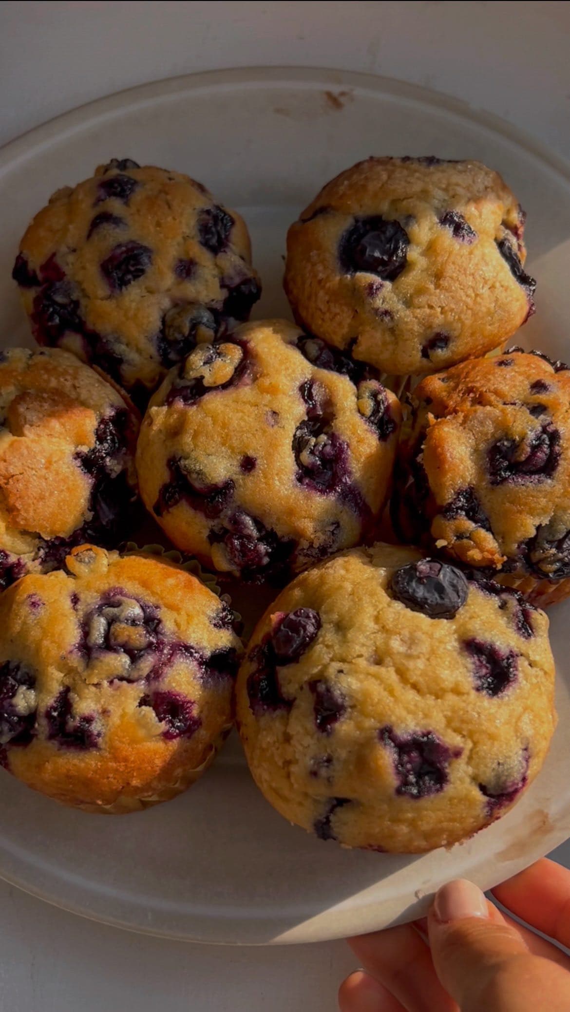 Muffins aux myrtilles style boulangerie