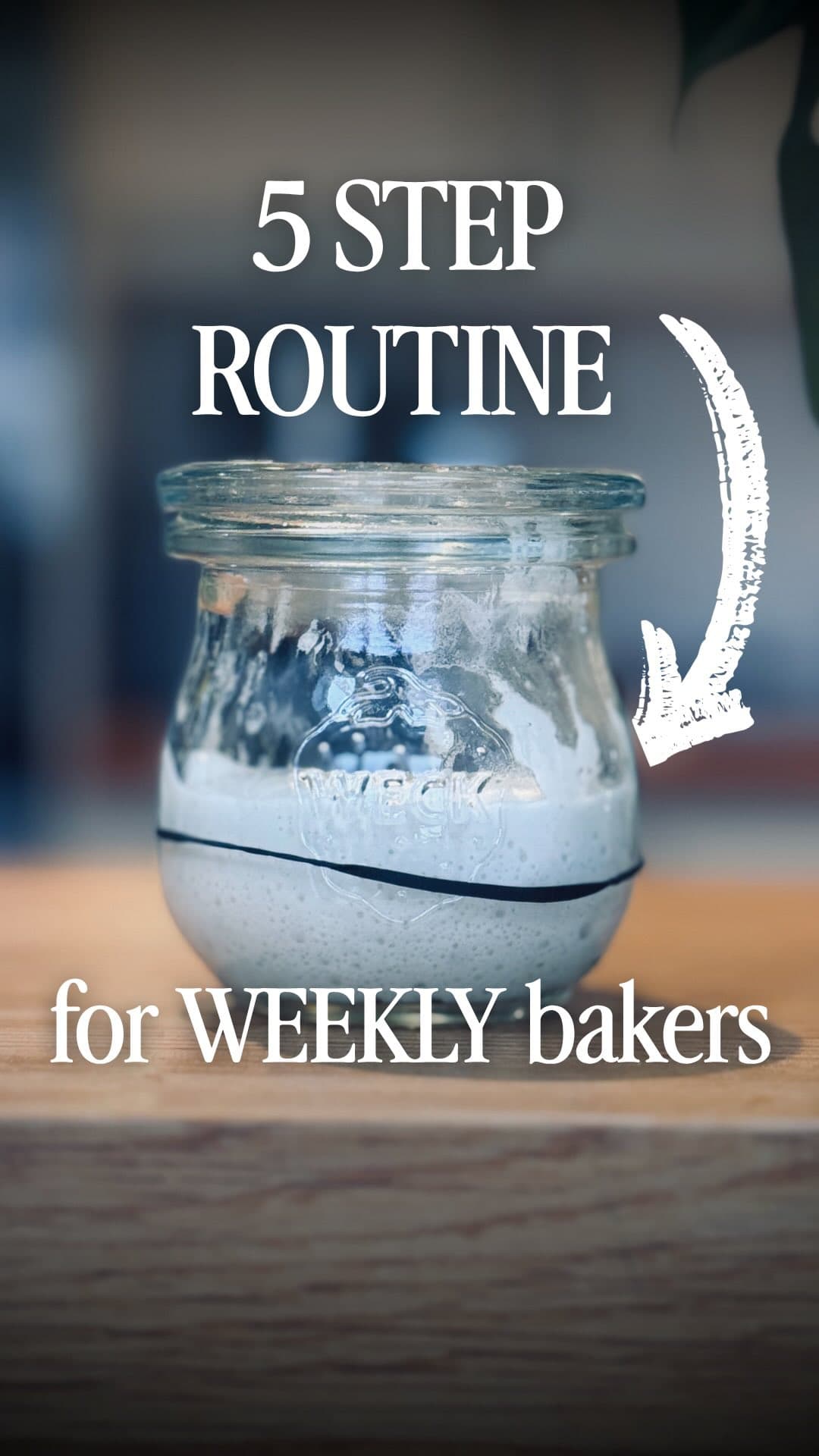 Weekly Sourdough Starter Maintenance Routine
