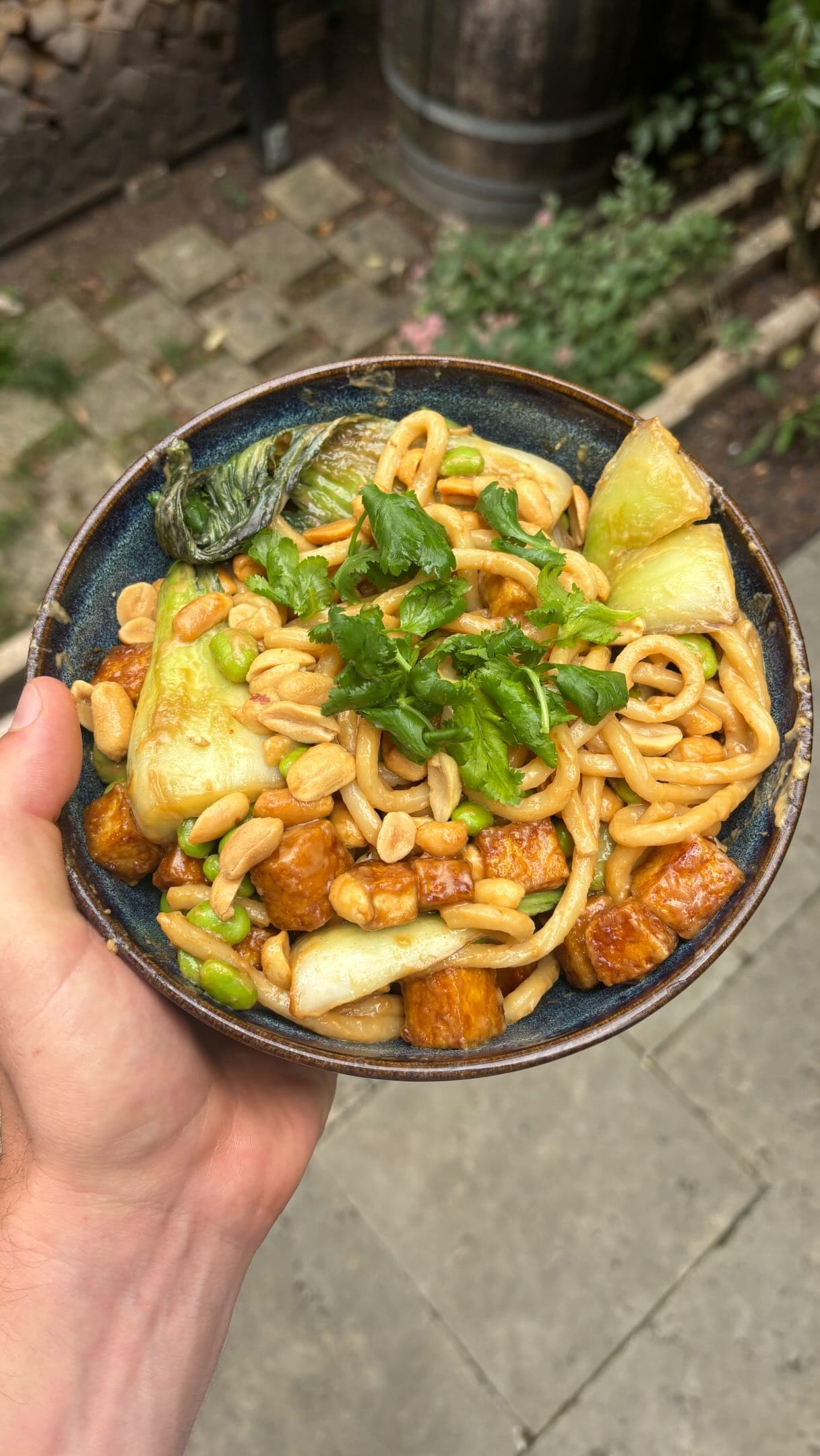 One-Pot Vegan Udon