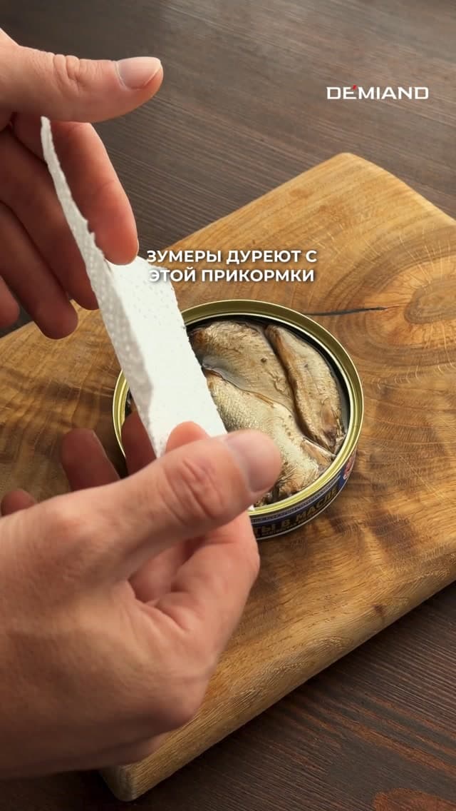 Sardine Toasts with Cream Cheese and Green Onions