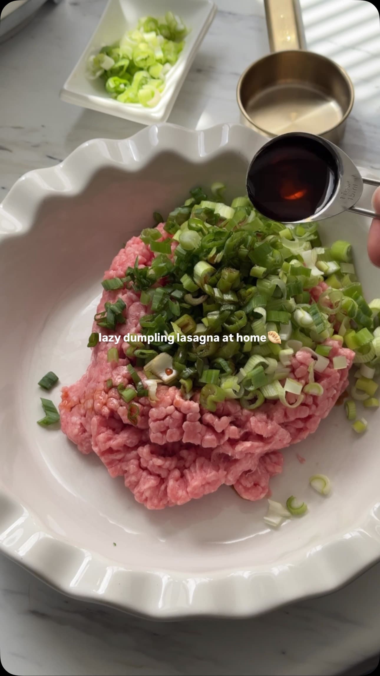 Dumpling Lasagna