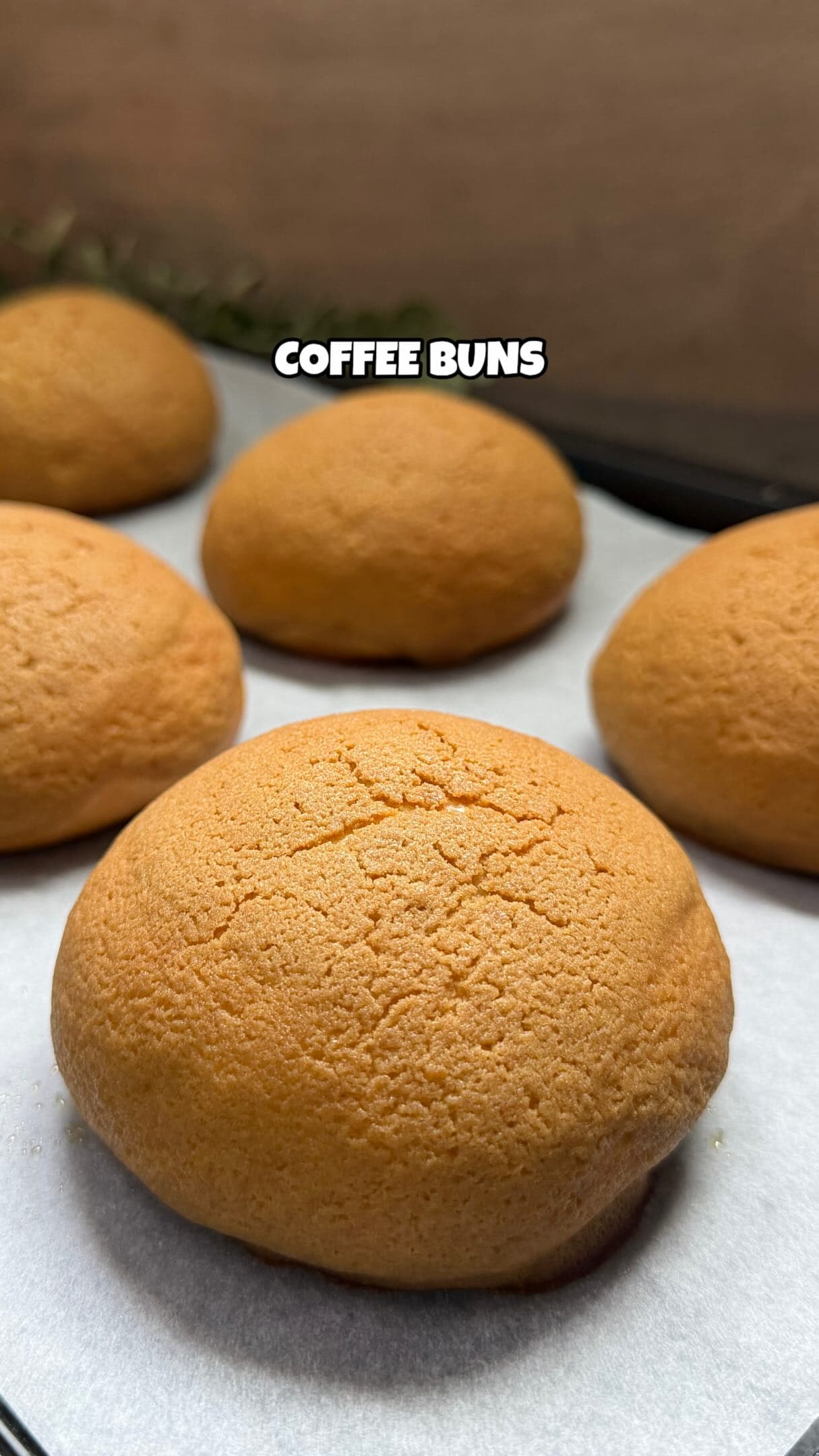 Coffee Buns