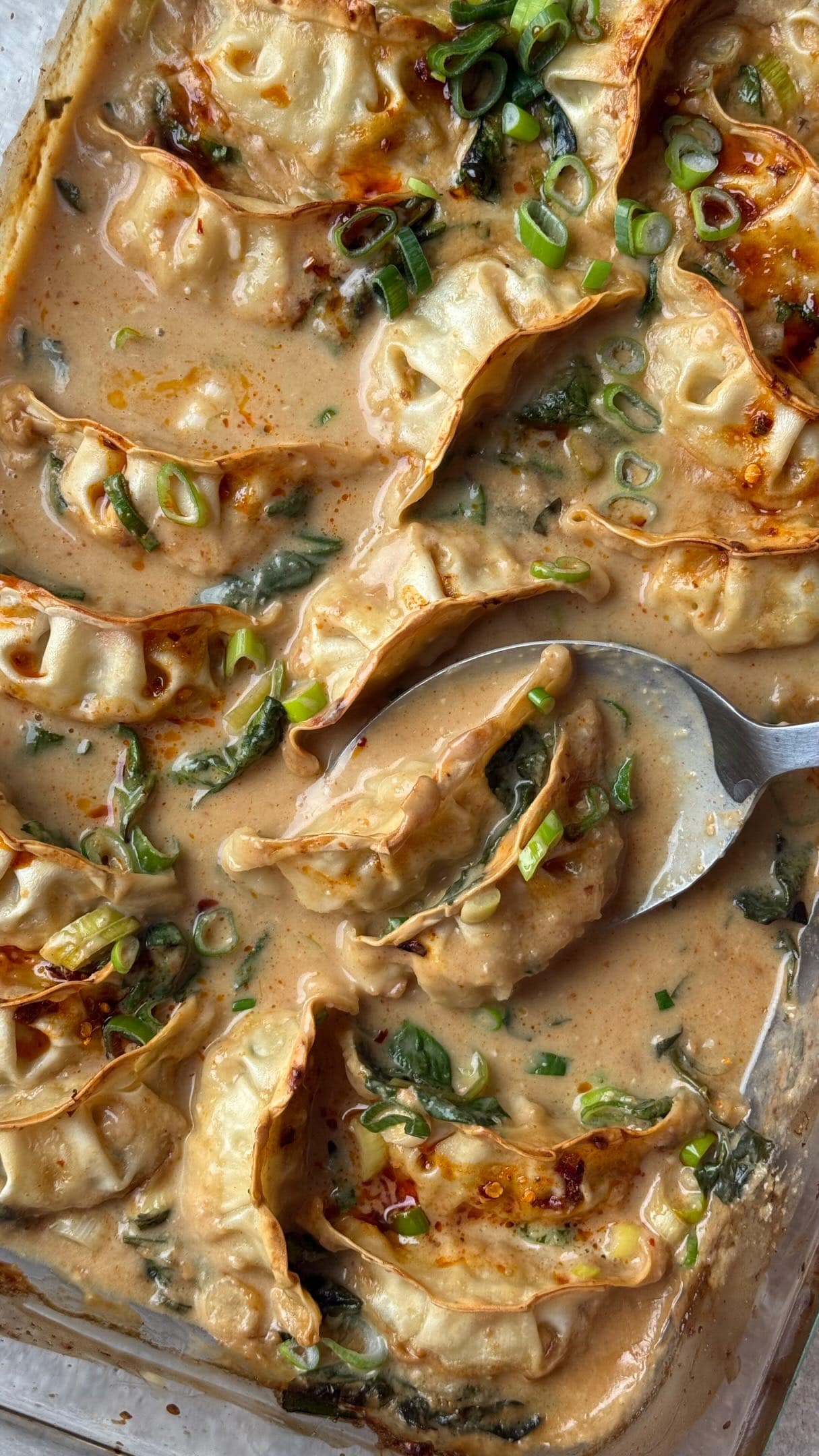 Onepot Gyoza