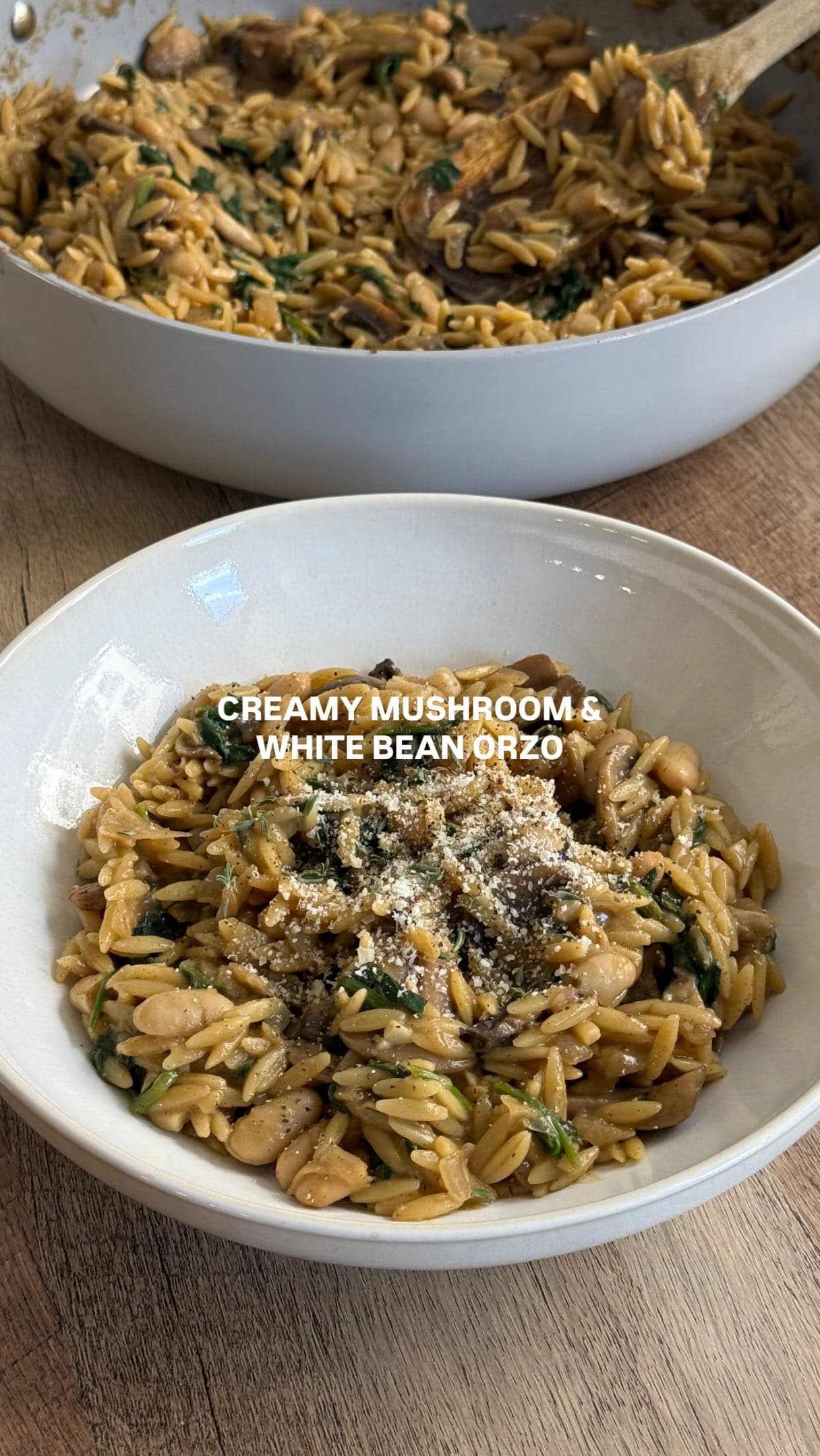 Cremiges Orzo-Risotto mit Pilzen und Bohnen