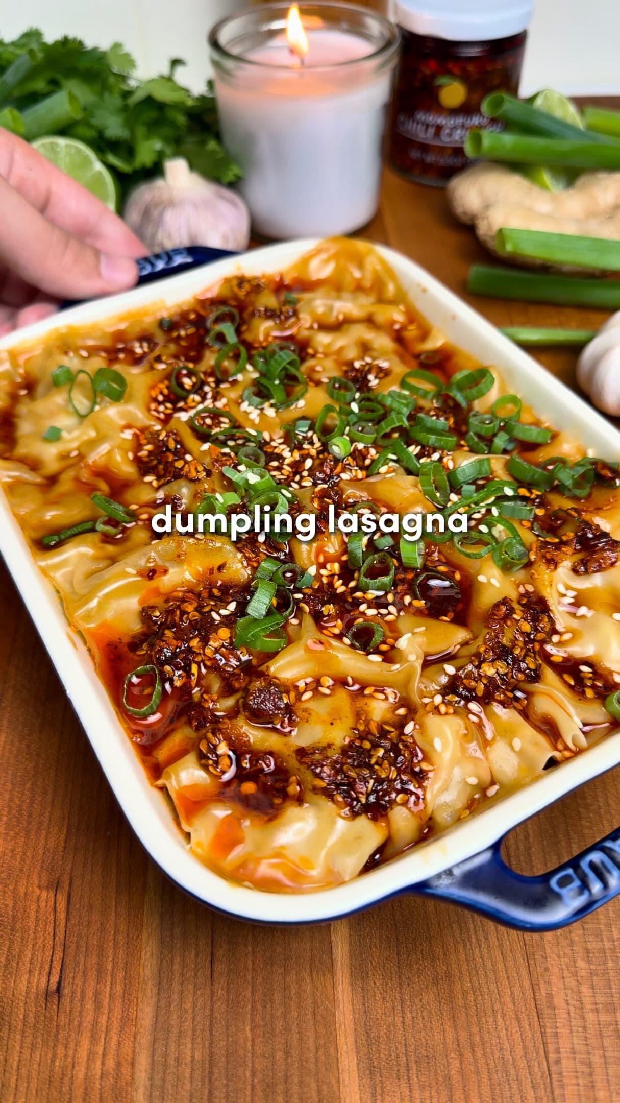 Dumpling Lasagna