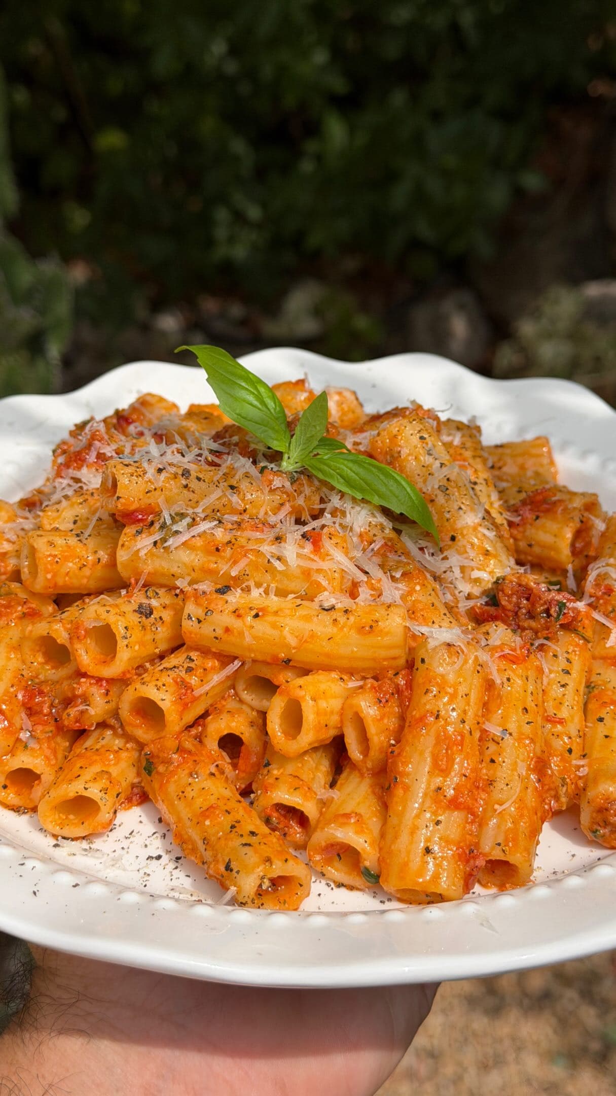 Pesto Rosso