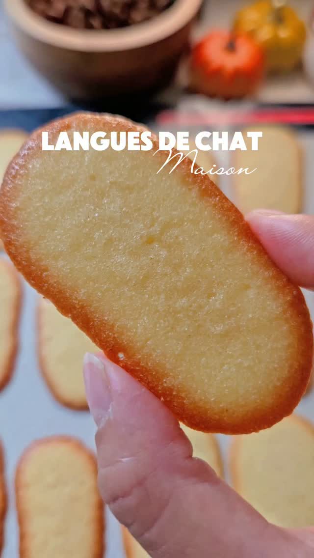 Homemade Langues de Chat Cookies