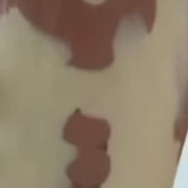 Chocolate Vanilla Pudding