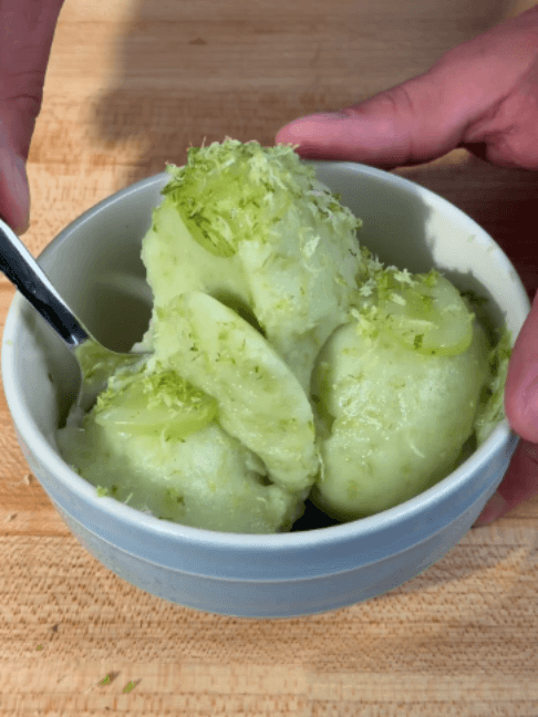 Frozen Grape Sorbet