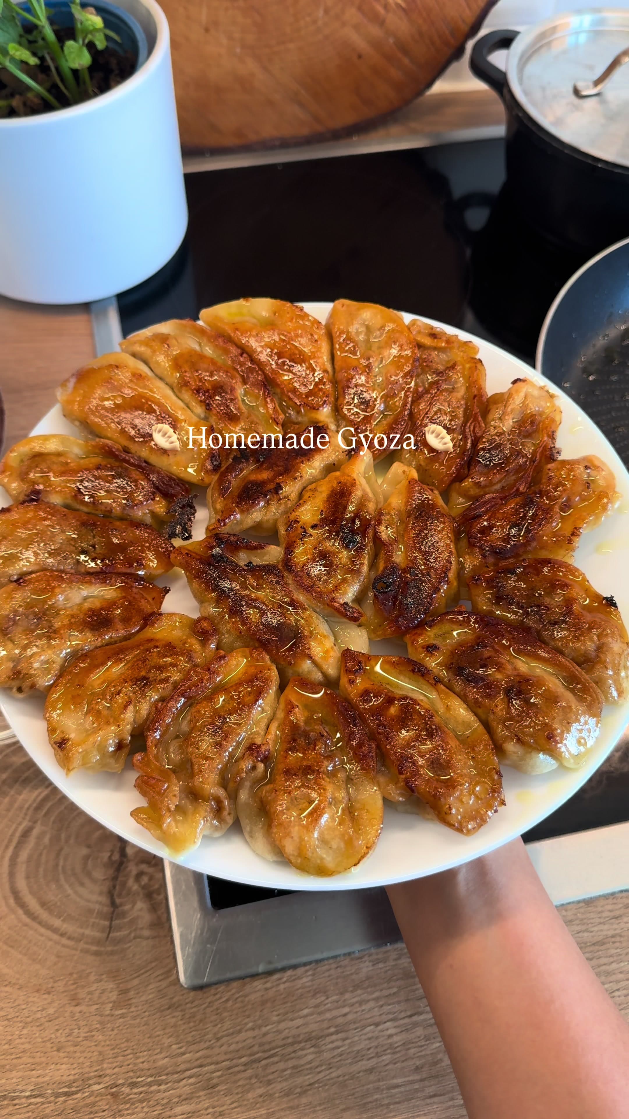 Gyoza Caseiro