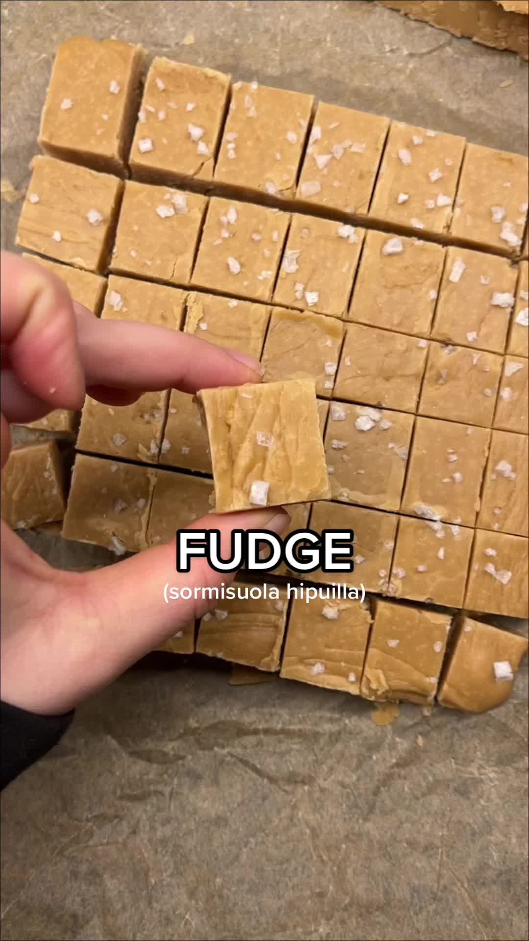 Fudge