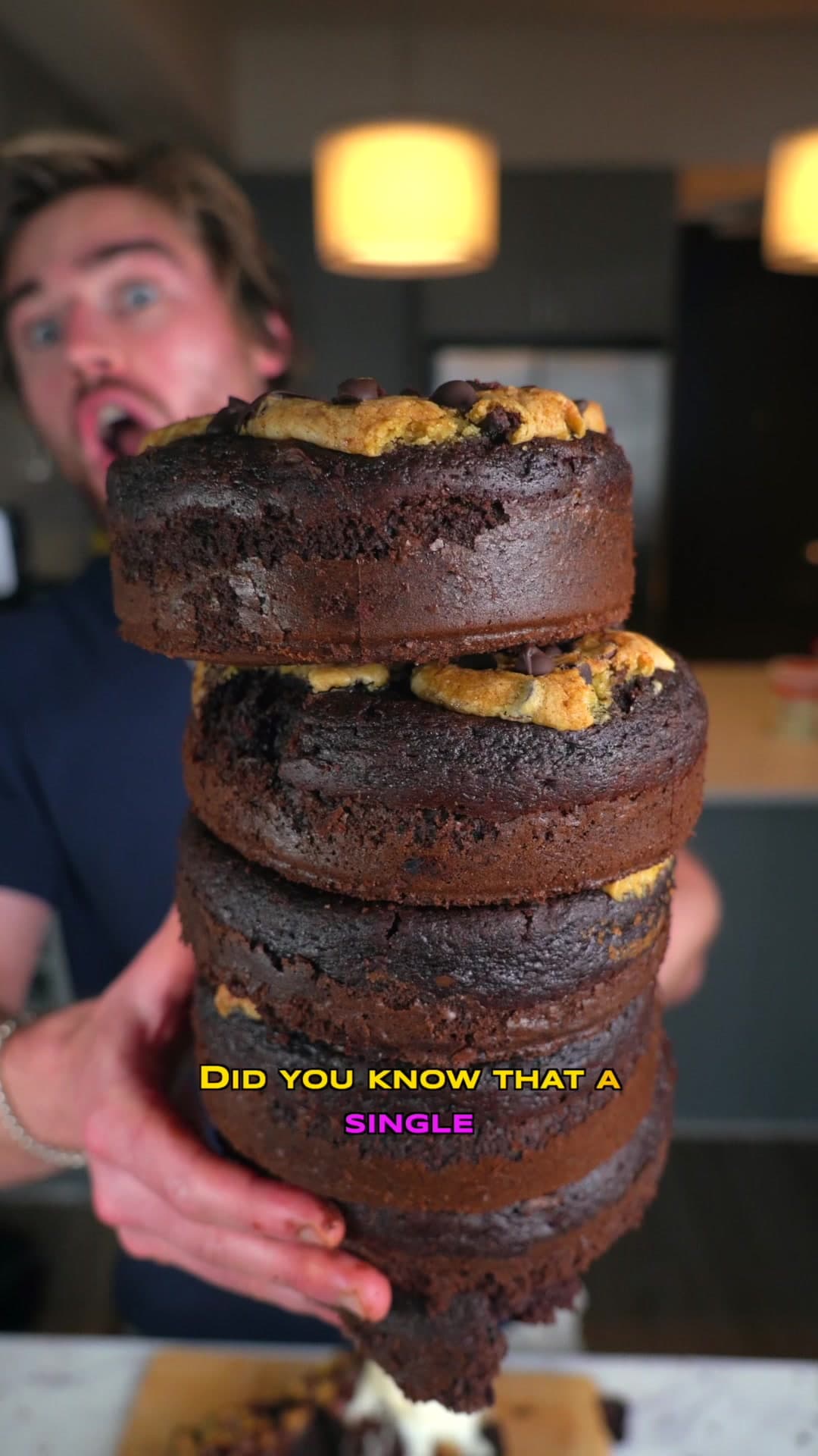 300 Calorie Huge & Massive Crumbl Protein Brookie