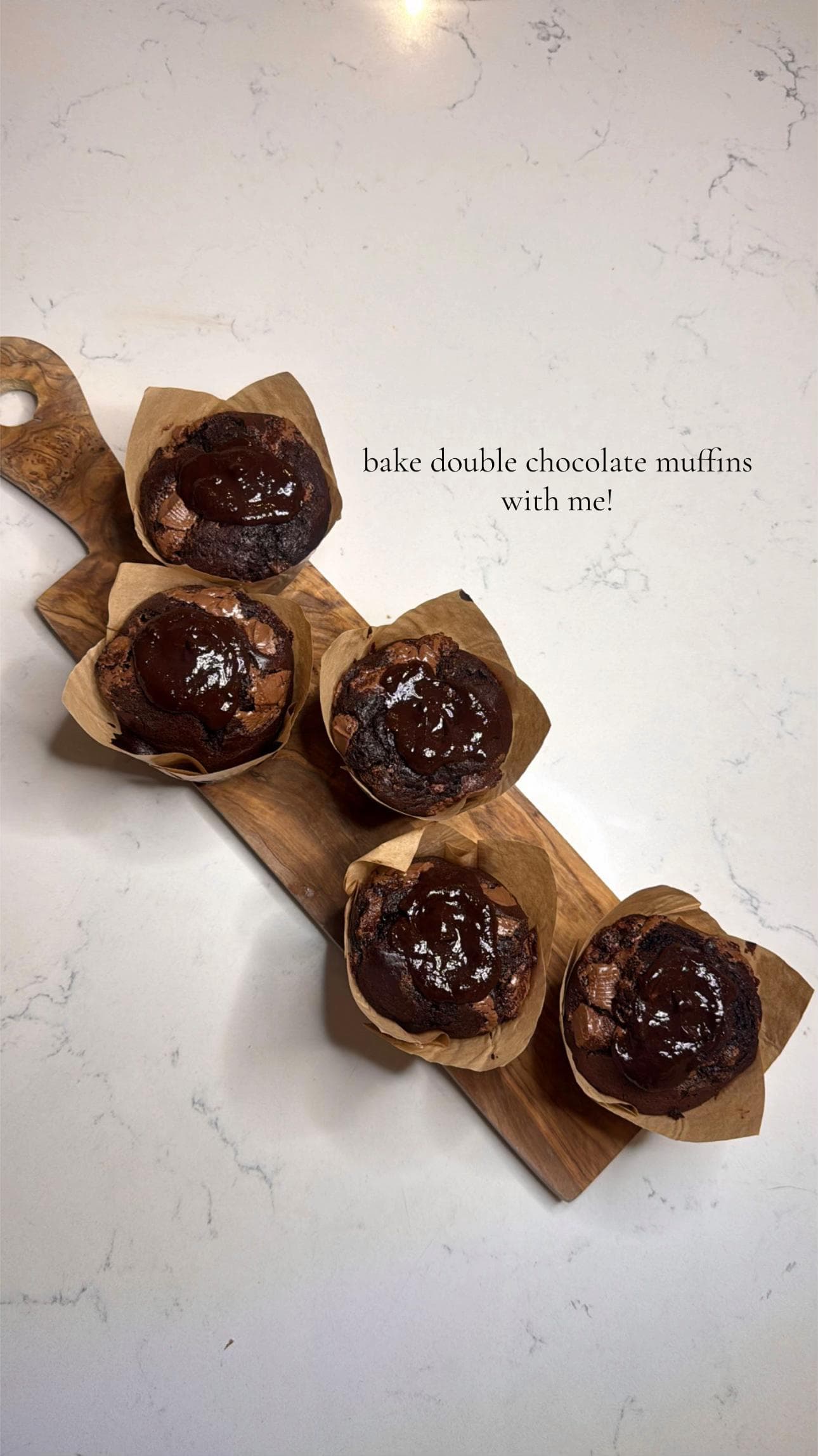 Double Chocolate Muffins