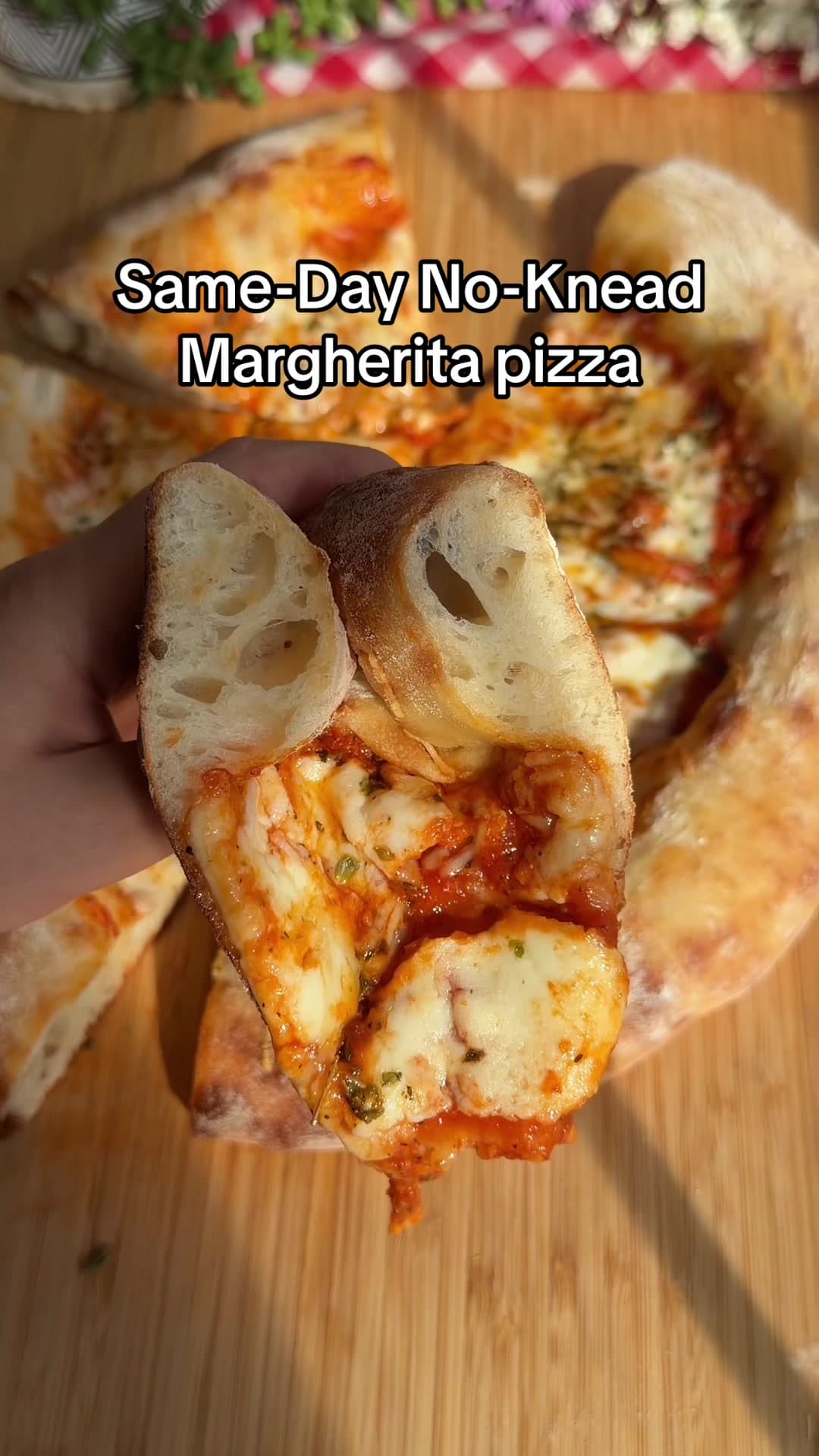 Same Day Margherita Pizza (No Knead)