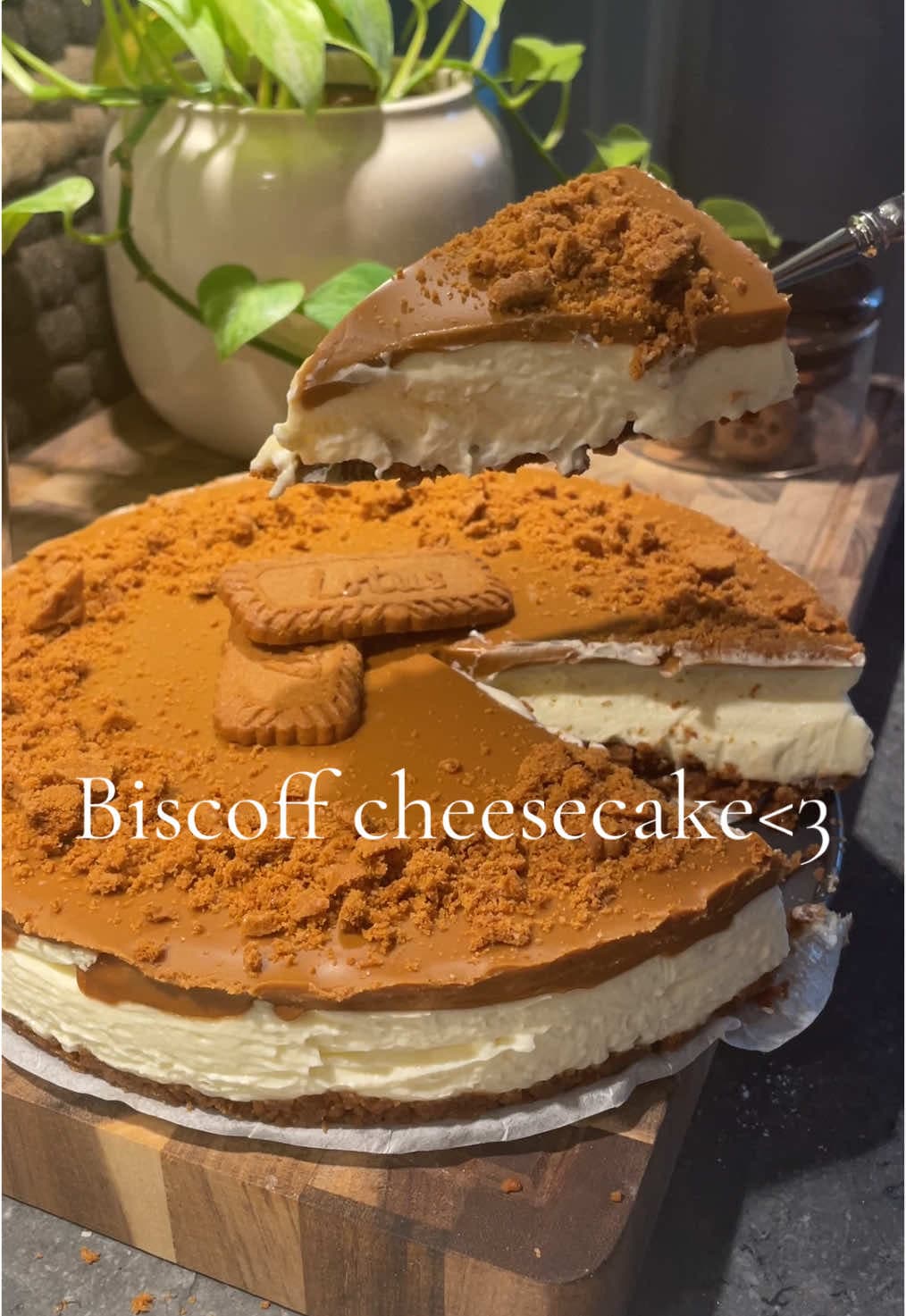Biscoff Cheesecake
