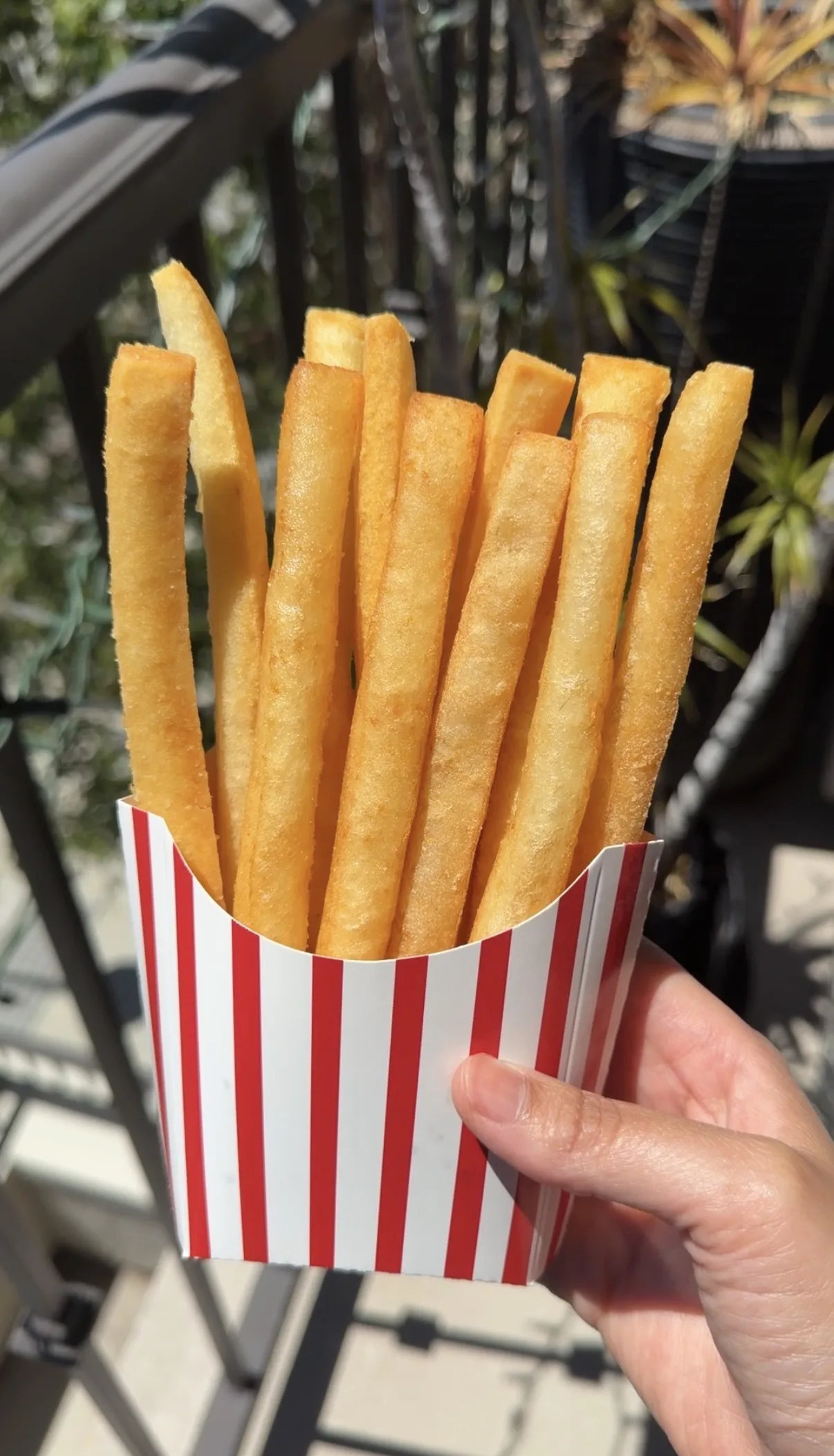 Extra Crispy Long Fries