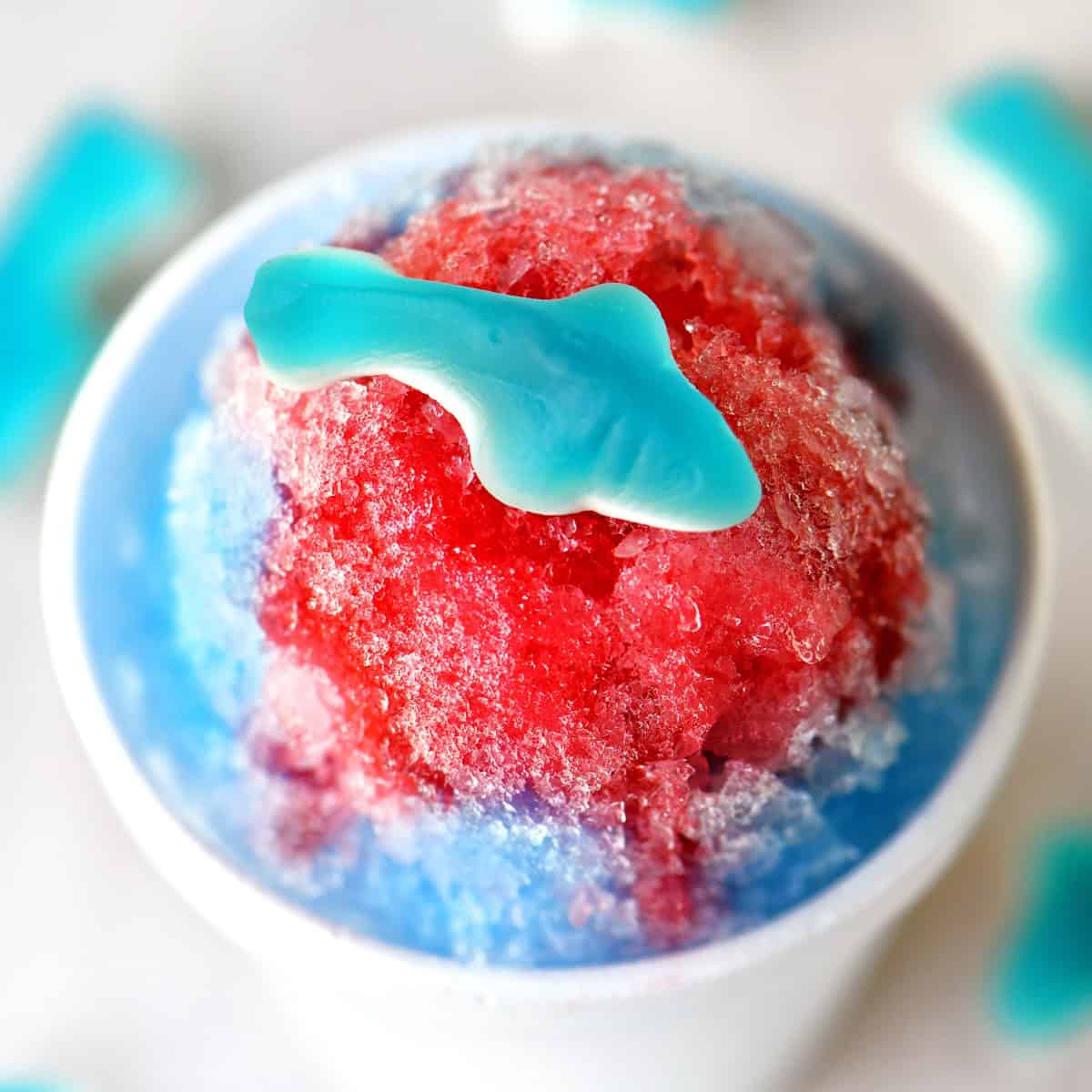 Shave Ice and Snoball Recipes