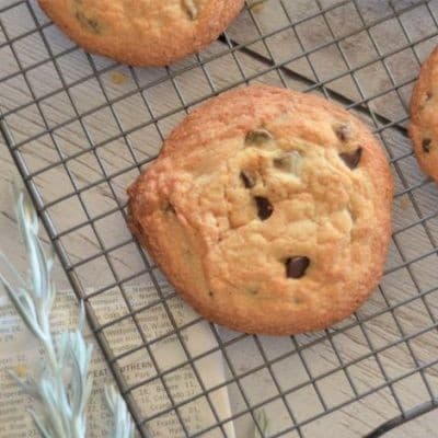 Perfect Gluten Free Chocolate Chip Cookies